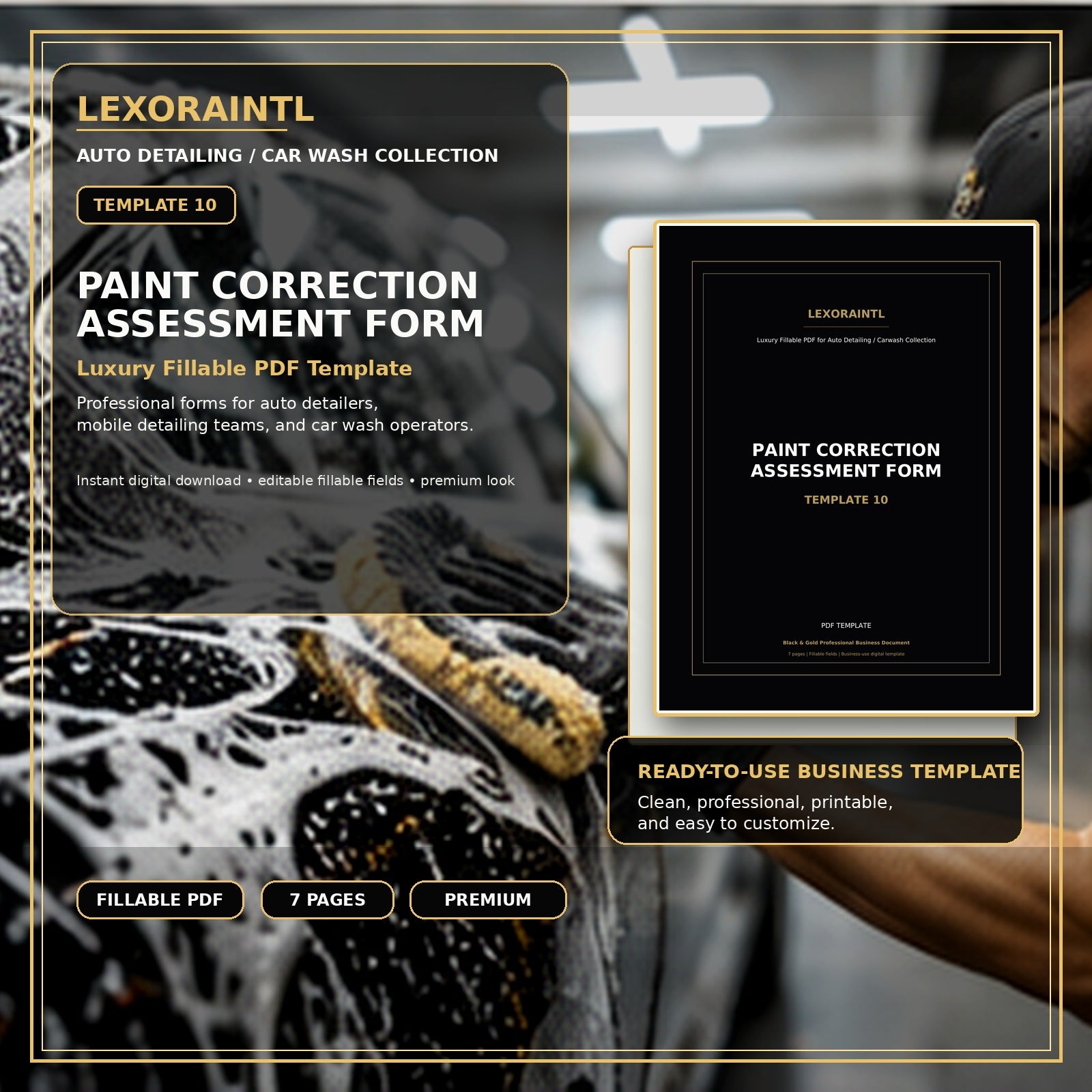 Paint Correction Assessment Form Template – Fillable PDF